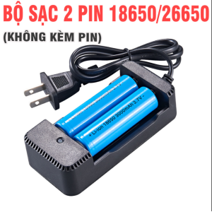 Đế sạc 2 pin CÓ DÂY SẠC - MS202