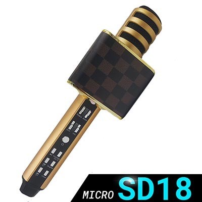 Mic karaoke SD18