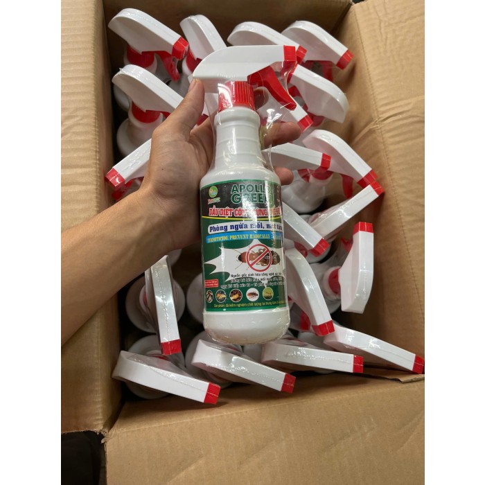 Chai xịt diệt mối tận gốc 550gr ( T24 )