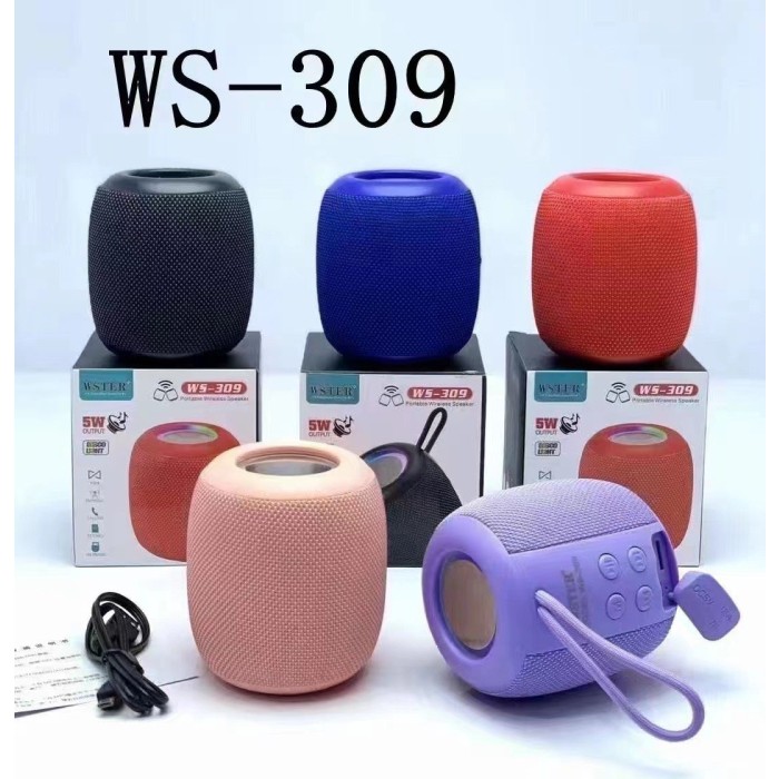 Loa bluetooth WS 309