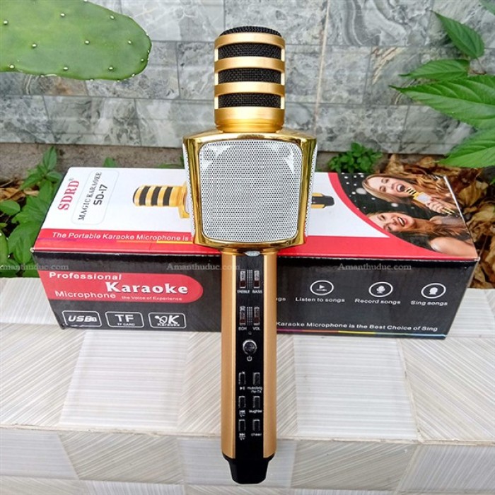 Mic karaoke SD17