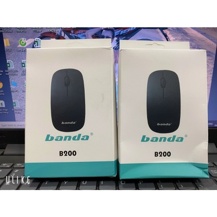 Chuột Banda B200