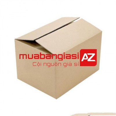 Thùng carton AZ09 ( 30x20x10 cm ) - Hộp 12 Ly